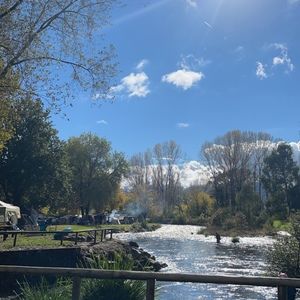 Meet your Posher, Georgia